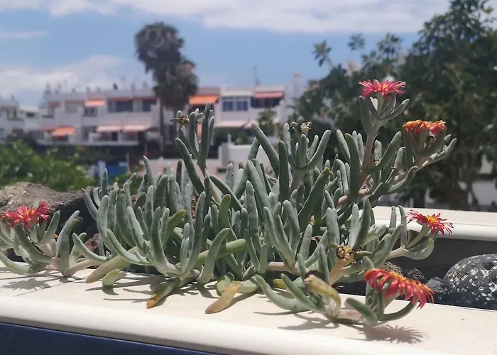 بيت للعطل Casa Maggiore Di 3 Lovely طوستا ديل سيلونثيو